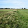 Ferienhaus auf Amrum der Kmwaal